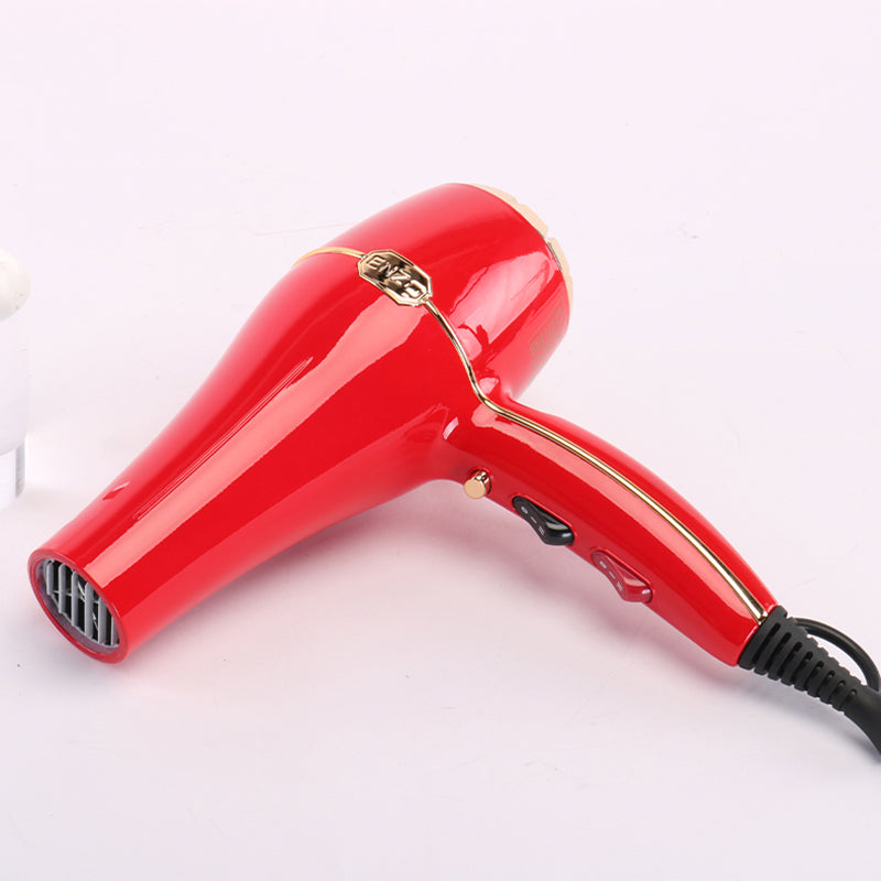 Sèche-cheveux Enzo EN-6119 مجفف الشعر